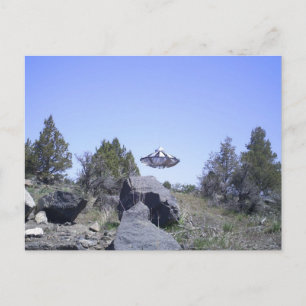Cartão Postal Dairy, Oregon UFO