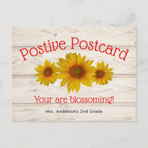 Cartão Postal Daisies florescentes   Notícias escolares positiv