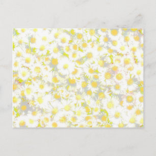 Cartão Postal Daisy Daisy