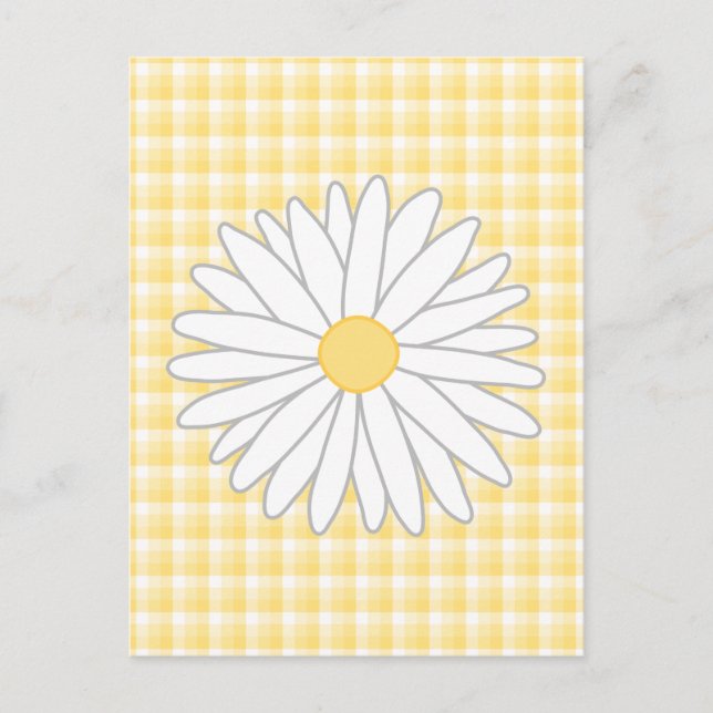 Cartão Postal Daisy Flower em Amarelo e Branco. (Frente)
