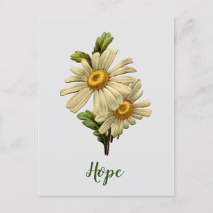 Cartão Postal Daisy Hope Inspiradora