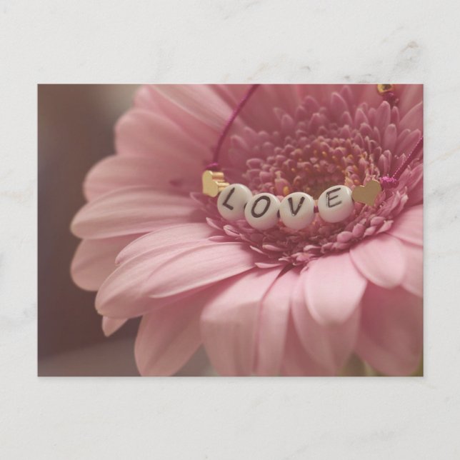 Cartão Postal Daisy Love (Frente)