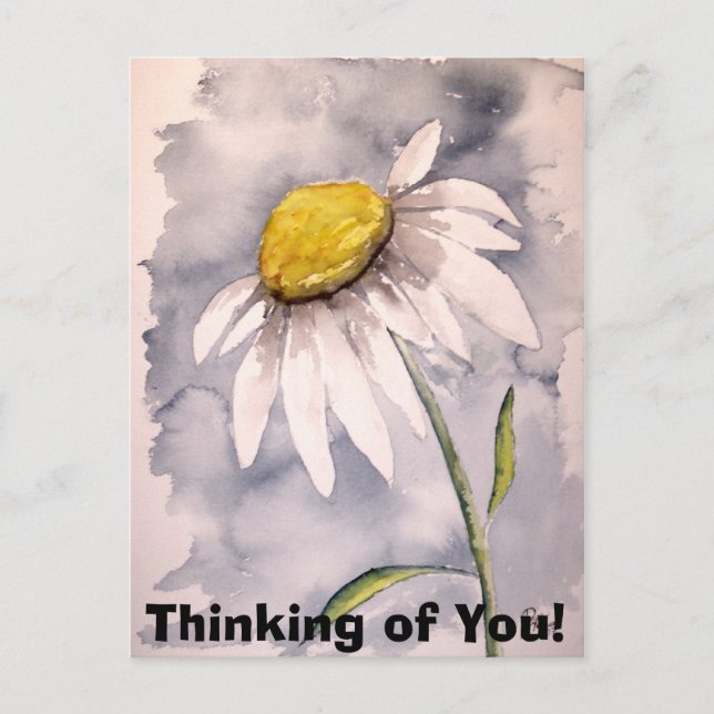 Cartão Postal Daisy, pensando em você! (Frente)