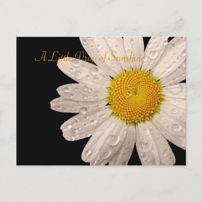 Cartão postal Daisy "Um pouquinho de sol" (Frente)