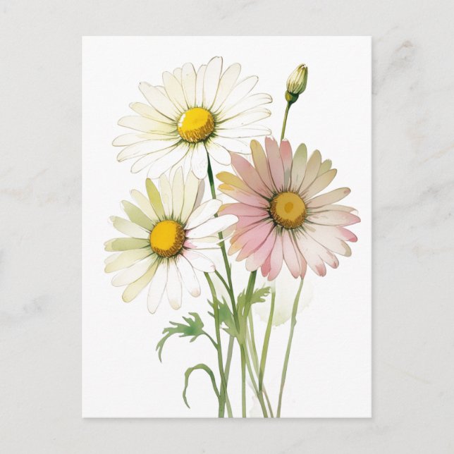 Cartão Postal Daisy Watercolor Flower Modern Professional (Frente)
