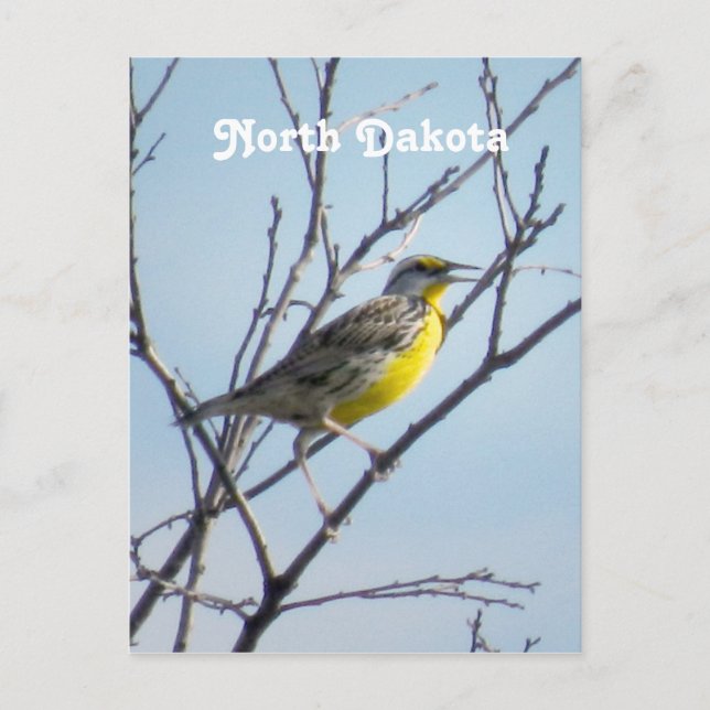 Cartão Postal Dakota do Norte (Frente)