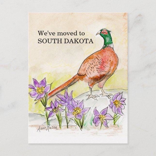 Cartão Postal Dakota do Sul (Frente)