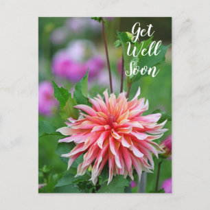 Cartão Postal Dália Laranja e Rosa Floresça Logo