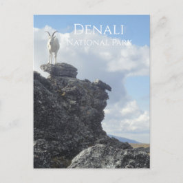 Cartão Postal Dall Sheep Atop Mount Wright, Denali NP, Alaska