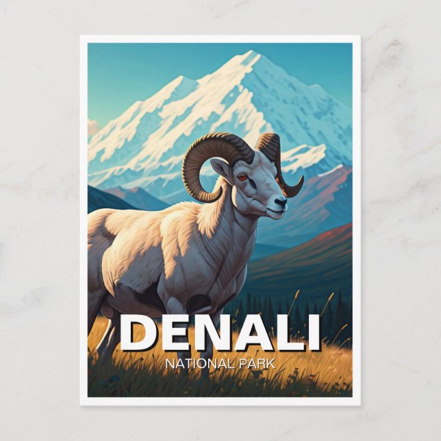 Cartão Postal Dall Sheep no Parque Nacional de Denali no Alasca (Frente)