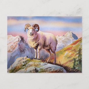 Cartão Postal Dall Sheep Ram em uma montanha majestosa