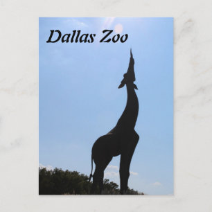 Cartão Postal Dallas Zoo