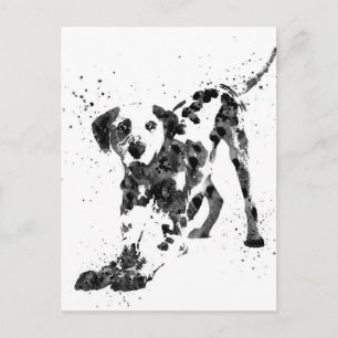 Cartão Postal Dalmaciano, cão Dalmaciano, Dalmaciano de cor aquá