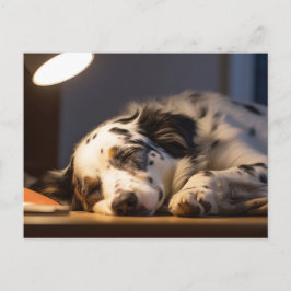 CARTÃO POSTAL DALMATIAN DOG SLEEPING POSTCROSSING