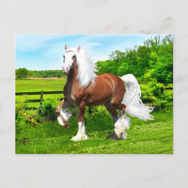 Cartão Postal "Dalton"  (Frente)