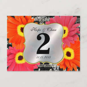 Cartão Postal Damask Fuchsia Gerber Daisy Número da Tabela de Ca