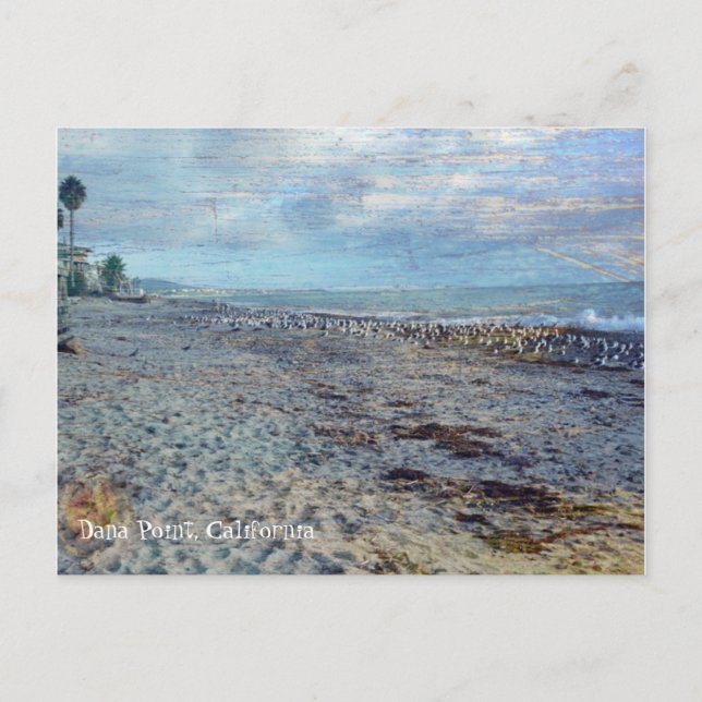 Cartão Postal Dana Point, Califórnia (Frente)