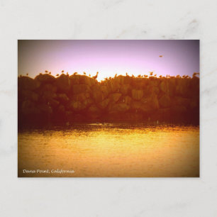Cartão Postal Dana Point Sunset