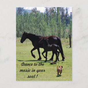 Cartão Postal Dança à música na sua alma