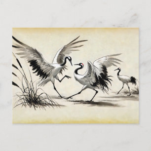 Cartão Postal Dança de Corte de Duas Gruas no Chinês Marsh