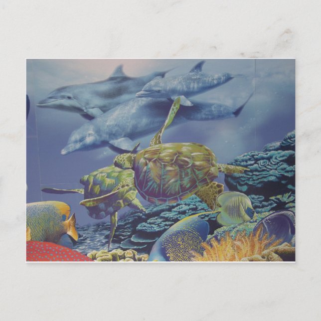 Cartão Postal Dança de golfinhos com peixes tropicais (Frente)