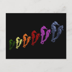 Cartão Postal Dança Dos Cavalos-marinhos Pop Art 1.O