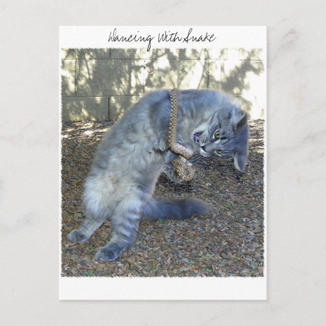 Cartão Postal Dançar com Cobra (Frente)