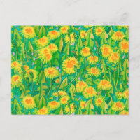 Dandelion Bloom Summer Flowers Floral Verde Amarel