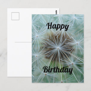 Cartão Postal Dandelion Branco