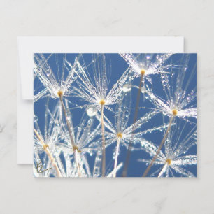 Cartão Postal Dandelion Branco e Azul Pacífico com Vista
