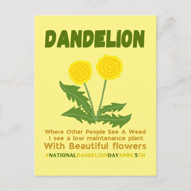 Cartão Postal Dandelion não é erva no meu jardim (Frente)