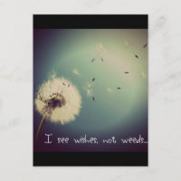 Dandelion Wish