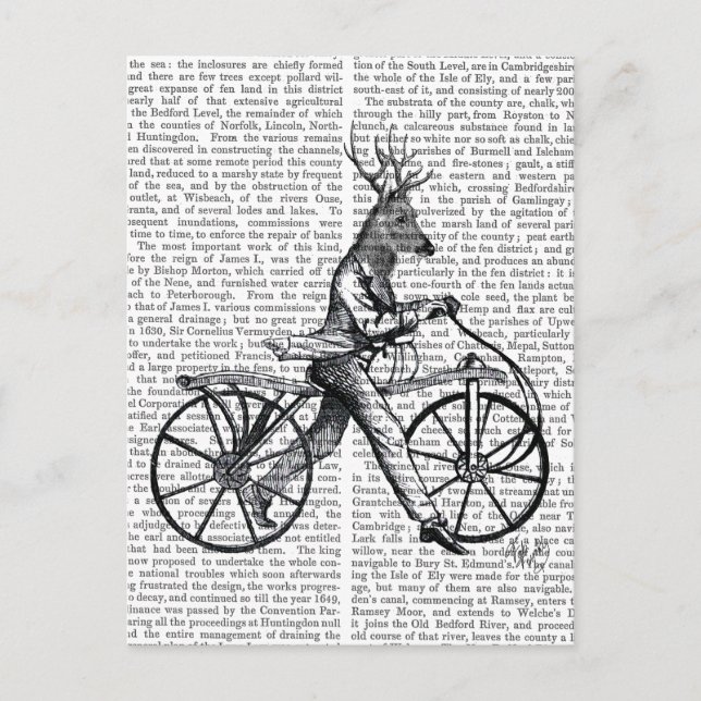 Cartão Postal Dandy Deer na Bicicleta Vintage (Frente)