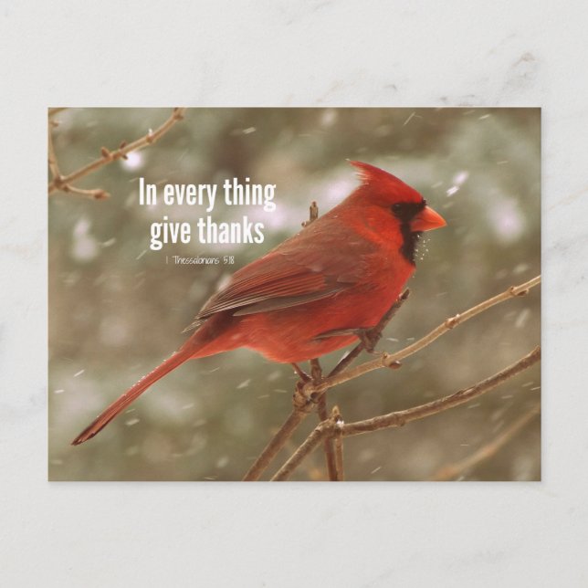 Cartão Postal Dar Verso da Bíblia das Obrigados (Frente)