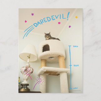 Cartão Postal Daredevil Cat