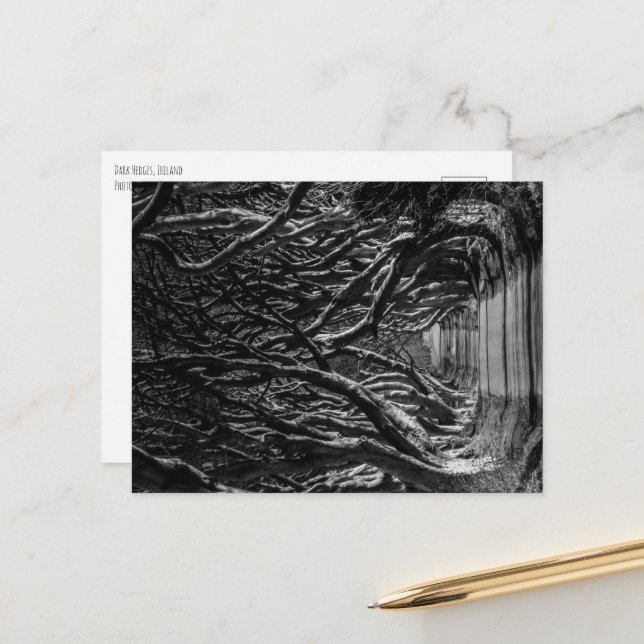 Cartão Postal Dark Hedge Ireland (Frente/Verso In Situ)
