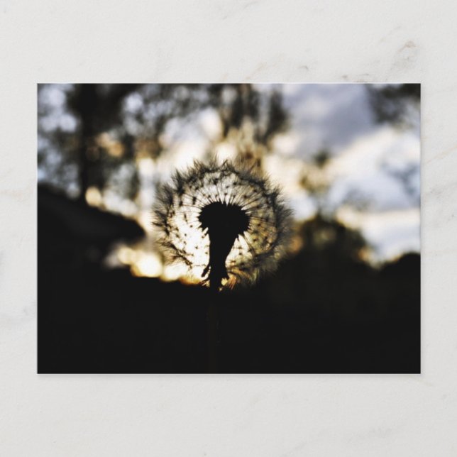 Cartão Postal Dark N Dandy (Frente)