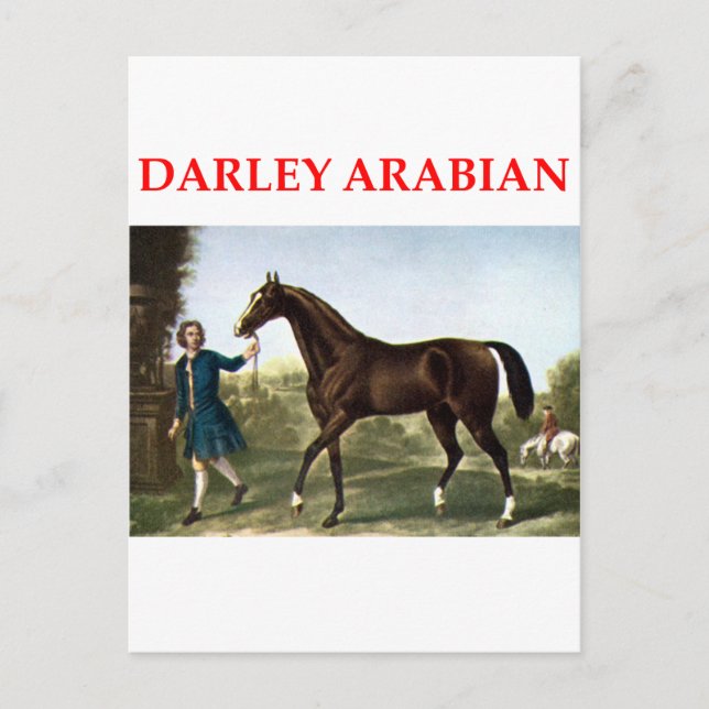 Cartão Postal darley arabian (Frente)