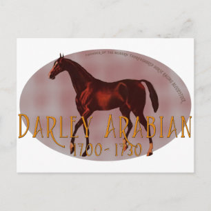 Cartão Postal Darley Arabian
