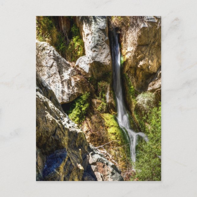 Cartão Postal Darwin Falls (Frente)