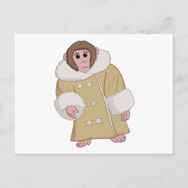 Cartão Postal Darwin que Ikea Monkey (Frente)
