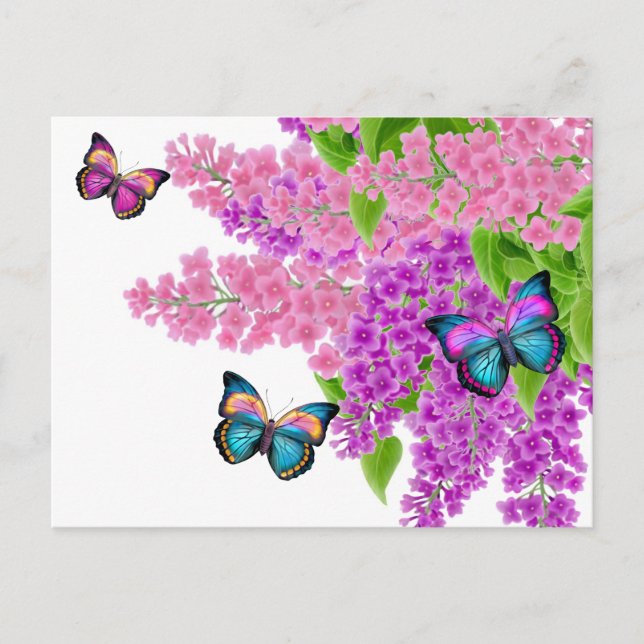 Cartão postal das borboletas Lilacs (Frente)