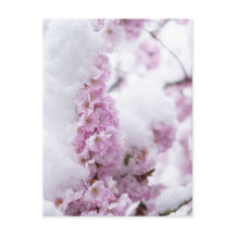 Cartão Postal das Flores