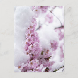 Cartão Postal das Flores