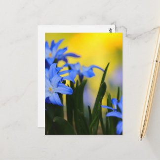 Cartão Postal das Flores
