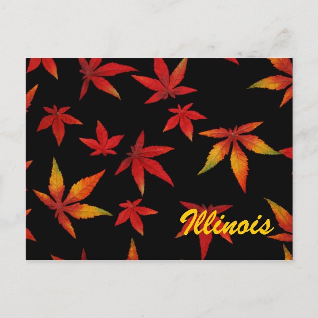 Cartão Postal das Folhas de Outono de Illinois (Frente)