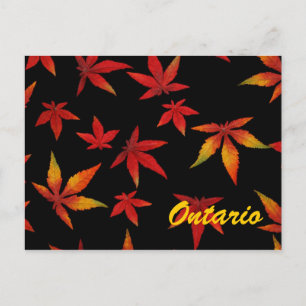 Cartão Postal das Folhas de Outono de Ontário