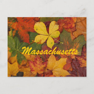 Cartão postal das Folhas do outono de Massachusett