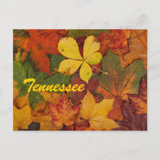 Cartão postal das Folhas do Tennessee Autumn