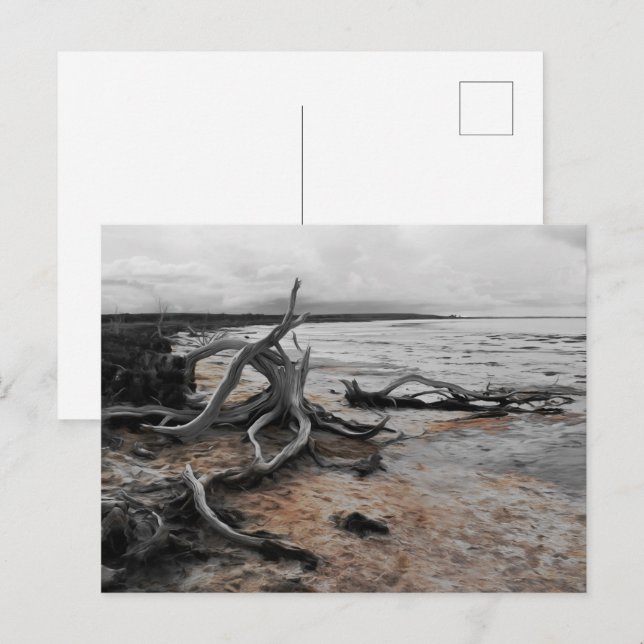 Cartão postal das Forças Naturais do Lago Tyrrell (Frente/Verso)